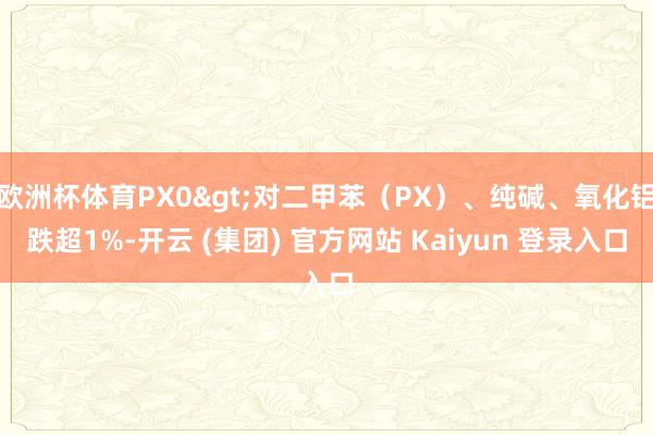 欧洲杯体育PX0>对二甲苯(PX)、纯碱、氧化铝跌超1%-开云 (集团) 官方网站 Kaiyun 登录入口
