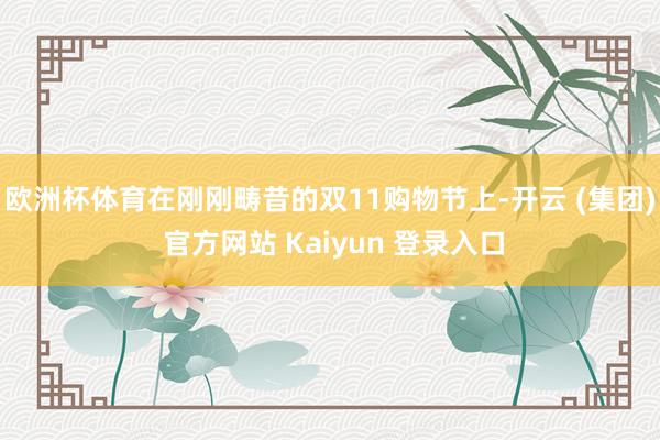 欧洲杯体育在刚刚畴昔的双11购物节上-开云 (集团) 官方网站 Kaiyun 登录入口