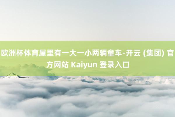 欧洲杯体育屋里有一大一小两辆童车-开云 (集团) 官方网站 Kaiyun 登录入口