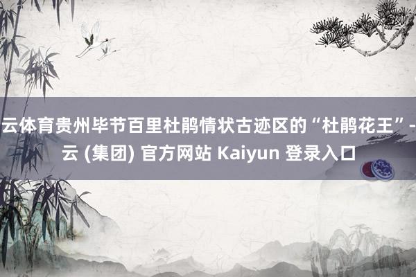 开云体育贵州毕节百里杜鹃情状古迹区的“杜鹃花王”-开云 (集团) 官方网站 Kaiyun 登录入口