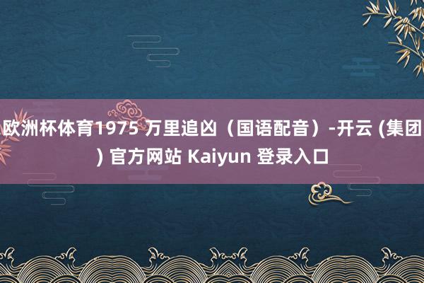欧洲杯体育1975 万里追凶（国语配音）-开云 (集团) 官方网站 Kaiyun 登录入口