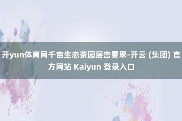 开yun体育网千亩生态茶园层峦叠翠-开云 (集团) 官方网站 Kaiyun 登录入口