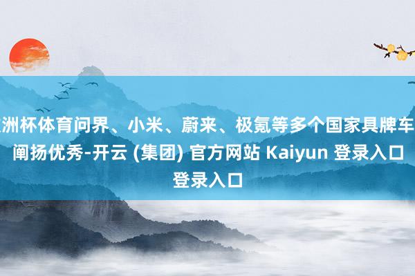 欧洲杯体育问界、小米、蔚来、极氪等多个国家具牌车型阐扬优秀-开云 (集团) 官方网站 Kaiyun 登录入口