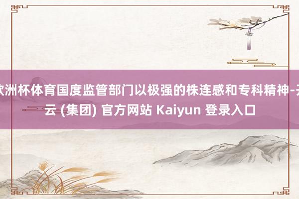 欧洲杯体育国度监管部门以极强的株连感和专科精神-开云 (集团) 官方网站 Kaiyun 登录入口
