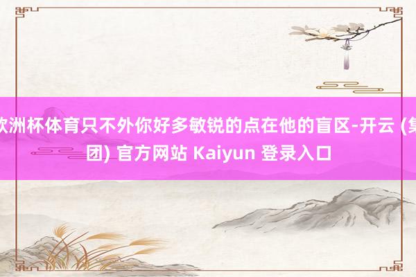 欧洲杯体育只不外你好多敏锐的点在他的盲区-开云 (集团) 官方网站 Kaiyun 登录入口