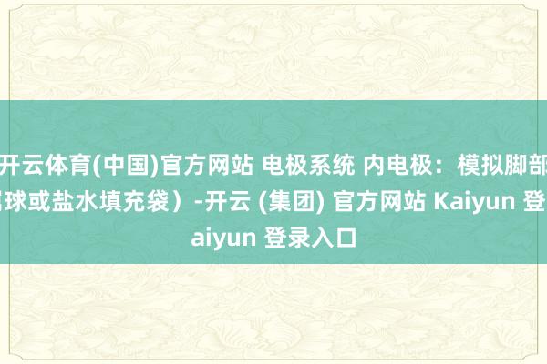 开云体育(中国)官方网站 电极系统 内电极：模拟脚部（金属球或盐水填充袋）-开云 (集团) 官方网站 Kaiyun 登录入口