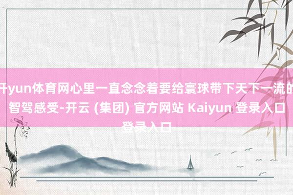 开yun体育网心里一直念念着要给寰球带下天下一流的智驾感受-开云 (集团) 官方网站 Kaiyun 登录入口