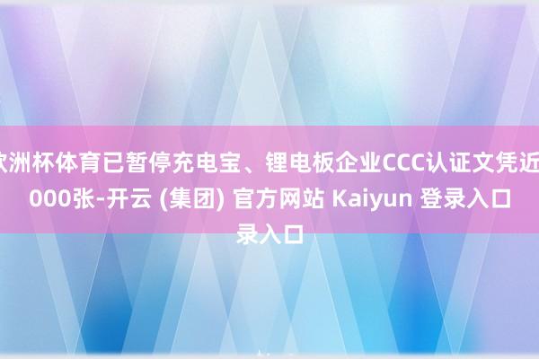 欧洲杯体育已暂停充电宝、锂电板企业CCC认证文凭近9000张-开云 (集团) 官方网站 Kaiyun 登录入口