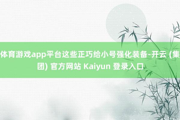 体育游戏app平台这些正巧给小号强化装备-开云 (集团) 官方网站 Kaiyun 登录入口