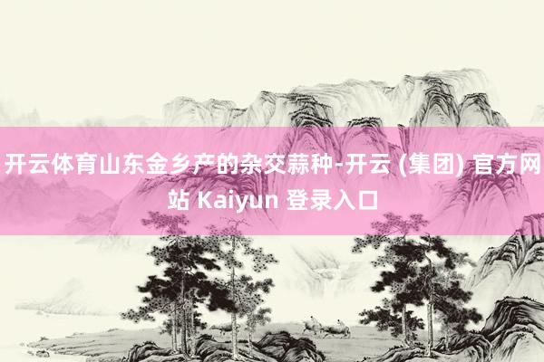 开云体育山东金乡产的杂交蒜种-开云 (集团) 官方网站 Kaiyun 登录入口