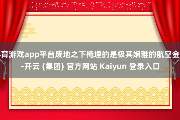 体育游戏app平台废地之下掩埋的是极其娴雅的航空金钱-开云 (集团) 官方网站 Kaiyun 登录入口