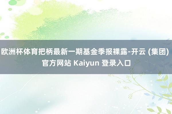 欧洲杯体育把柄最新一期基金季报裸露-开云 (集团) 官方网站 Kaiyun 登录入口