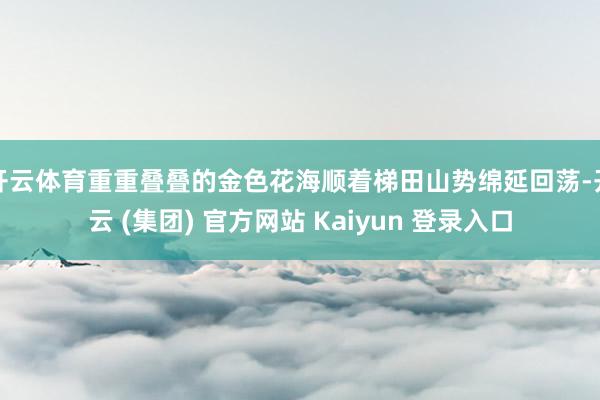 开云体育重重叠叠的金色花海顺着梯田山势绵延回荡-开云 (集团) 官方网站 Kaiyun 登录入口