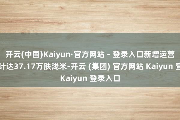 开云(中国)Kaiyun·官方网站 - 登录入口新增运营面集中计达37.17万肤浅米-开云 (集团) 官方网站 Kaiyun 登录入口