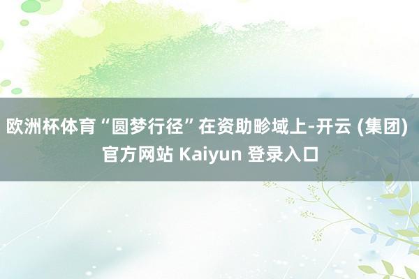 欧洲杯体育“圆梦行径”在资助畛域上-开云 (集团) 官方网站 Kaiyun 登录入口