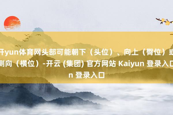 开yun体育网头部可能朝下（头位）、向上（臀位）或侧向（横位）-开云 (集团) 官方网站 Kaiyun 登录入口