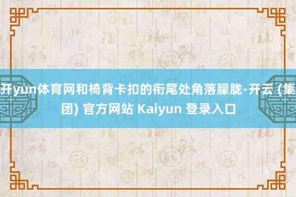 开yun体育网和椅背卡扣的衔尾处角落朦胧-开云 (集团) 官方网站 Kaiyun 登录入口