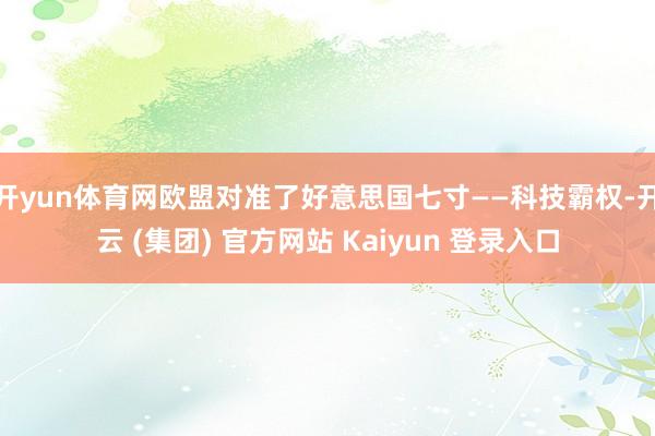 开yun体育网欧盟对准了好意思国七寸——科技霸权-开云 (集团) 官方网站 Kaiyun 登录入口