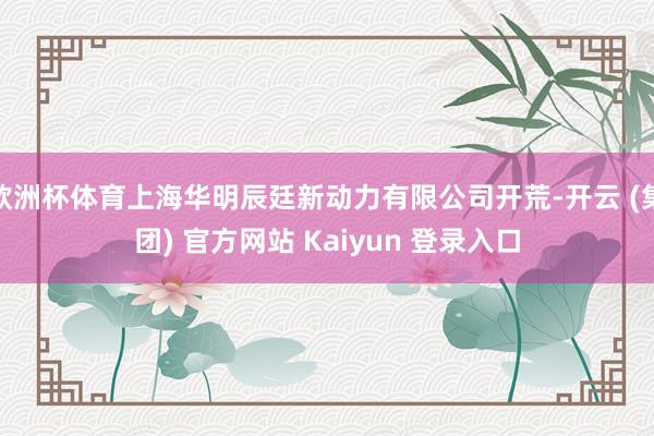 欧洲杯体育上海华明辰廷新动力有限公司开荒-开云 (集团) 官方网站 Kaiyun 登录入口